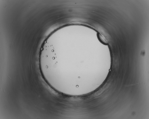 X0000101691384200808071123