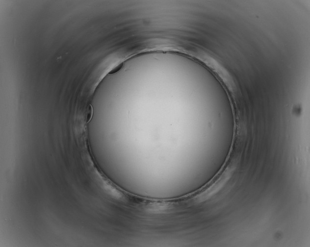 X0000101691385200808071123