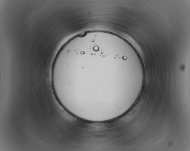 X0000101691388200808071123