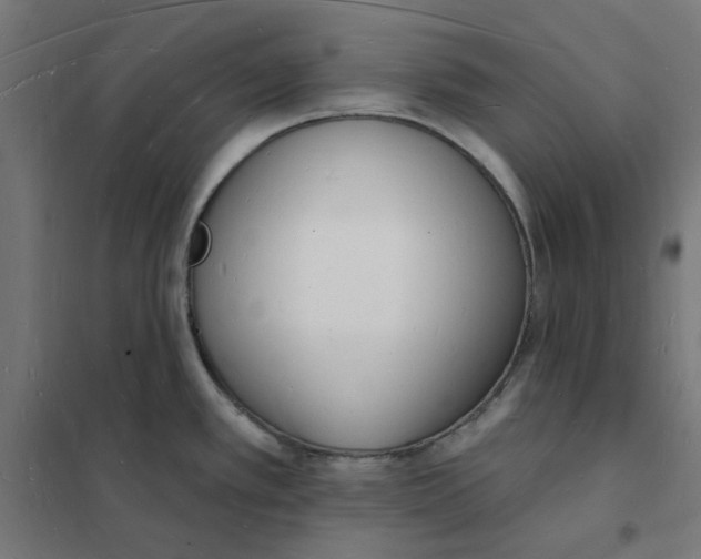 X0000101691389200808071123