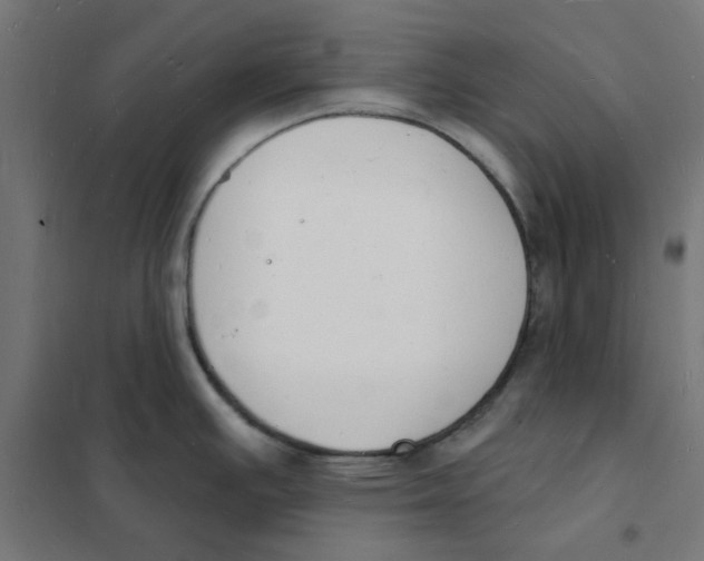 X0000101691391200808071123