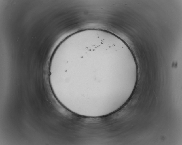 X0000101691392200808071123