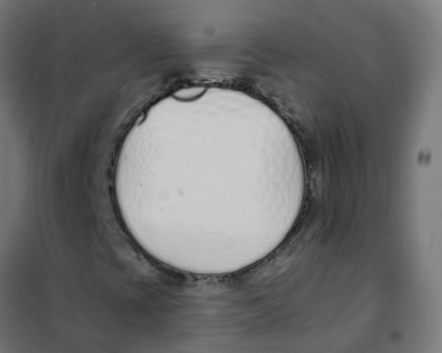 X0000101691393200808071122