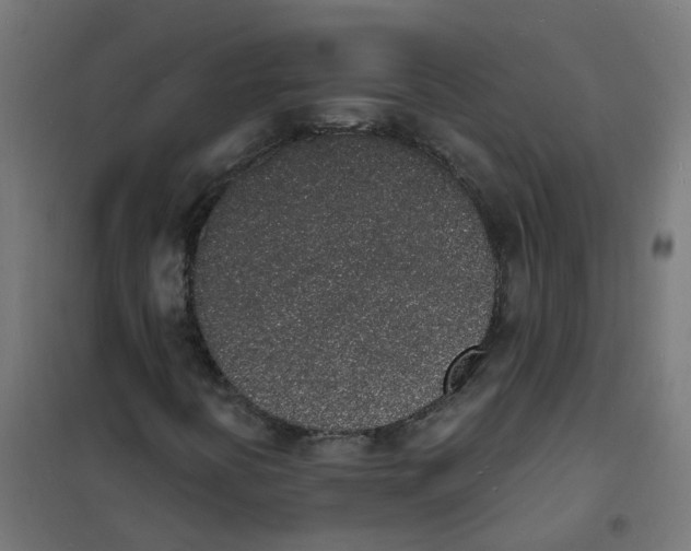 X0000101691394200808071122