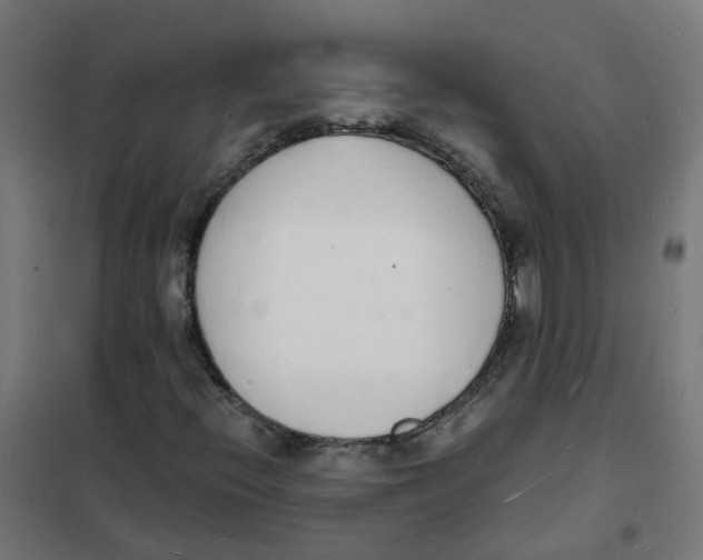 X0000101691396200808071122