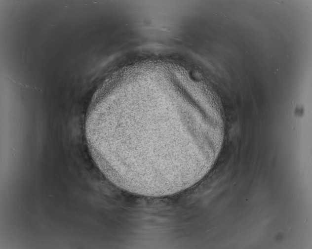 X0000101691397200808071122