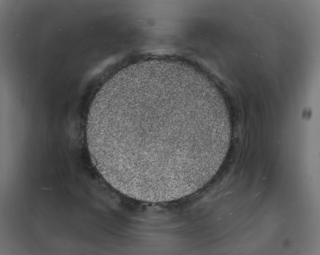 X0000101691398200808071122