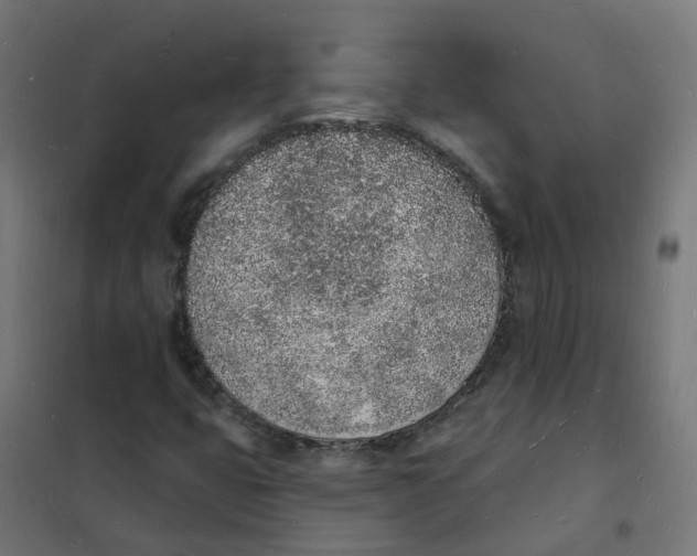 X0000101691399200808071122