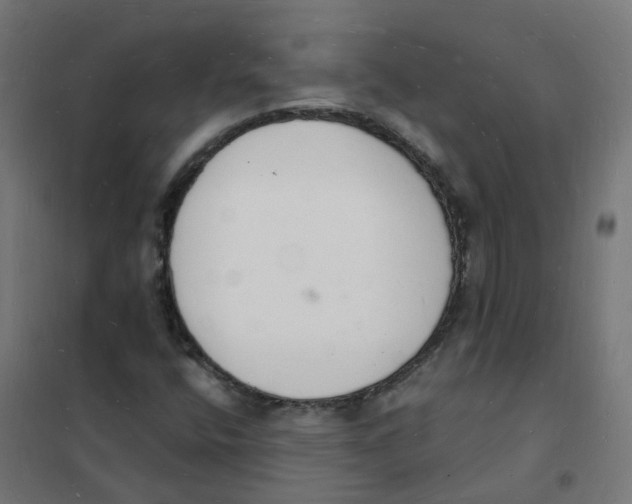 X0000101691400200808071122