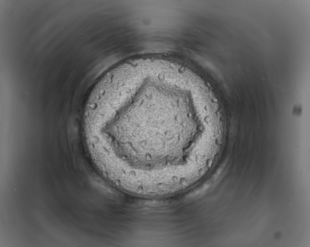 X0000101691401200808071122