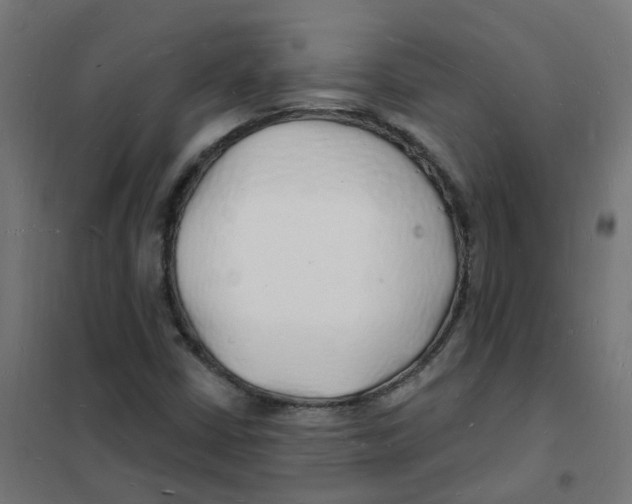 X0000101691402200808071122