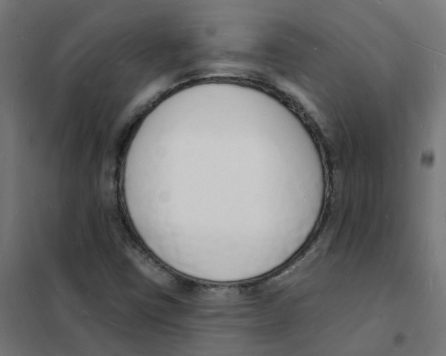 X0000101691403200808071122