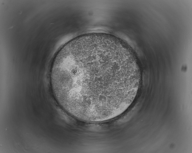 X0000101691405200808071122