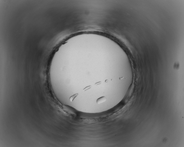 X0000101691407200808071122