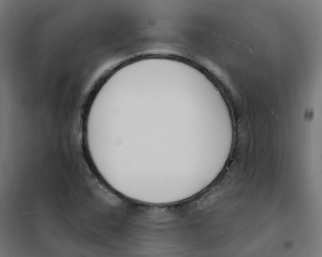 X0000101691408200808071122