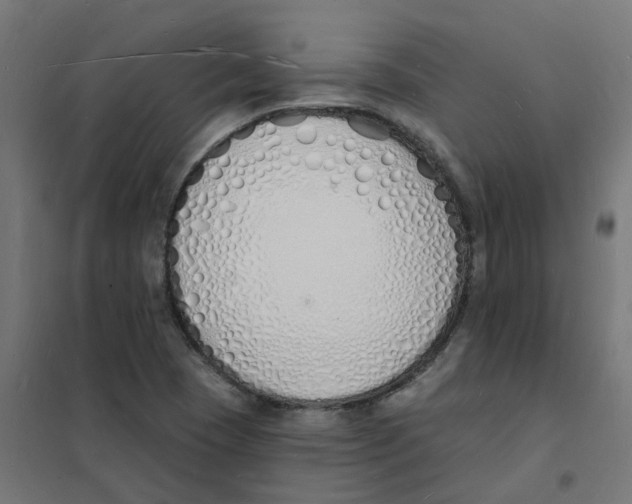 X0000101691409200808071122