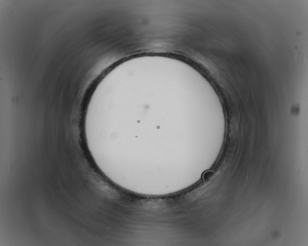 X0000101691410200808071122