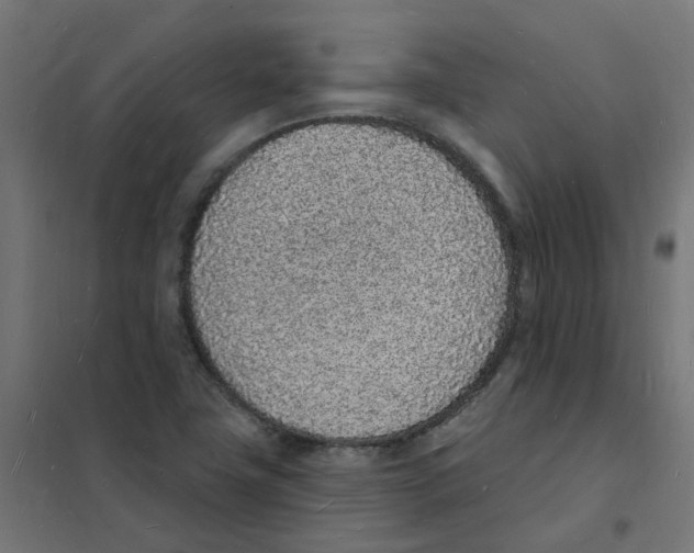 X0000101691411200808071122