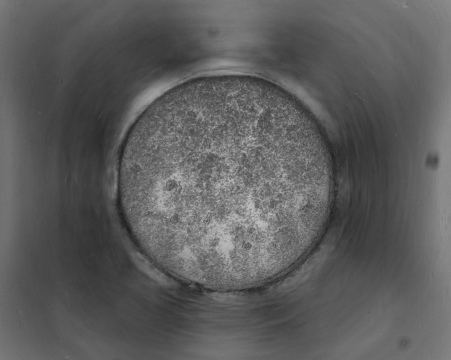 X0000101691413200808071122