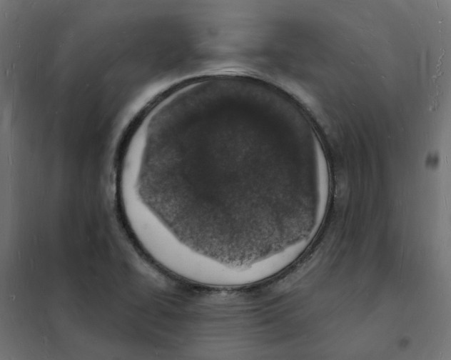 X0000101691414200808071122