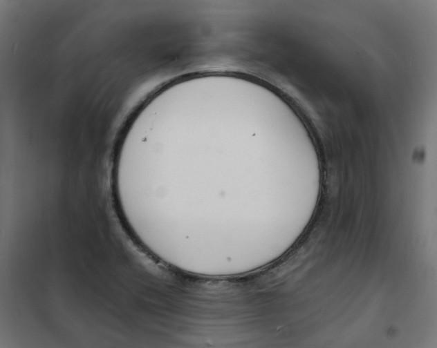 X0000101691416200808071122