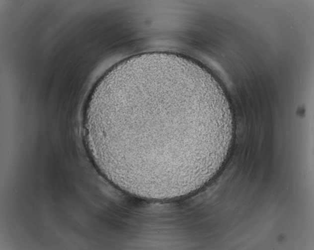 X0000101691419200808071122