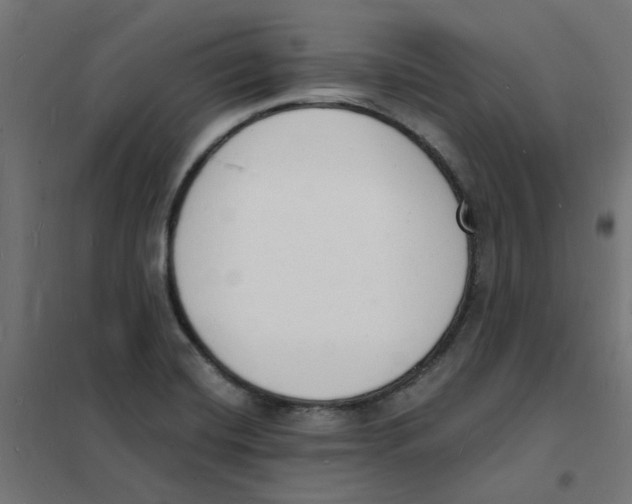 X0000101691420200808071122