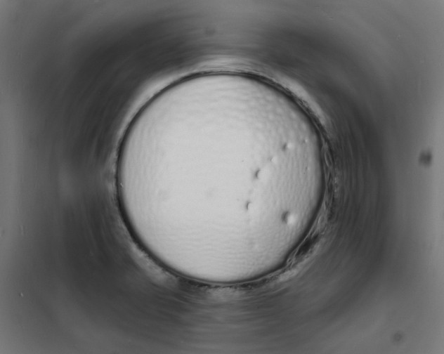 X0000101691421200808071122