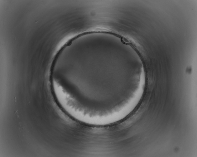 X0000101691422200808071122