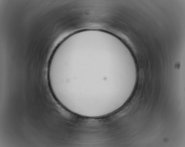 X0000101691424200808071122