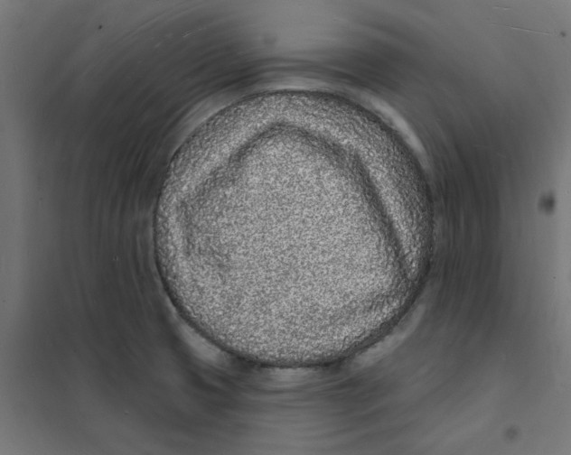 X0000101691425200808071122