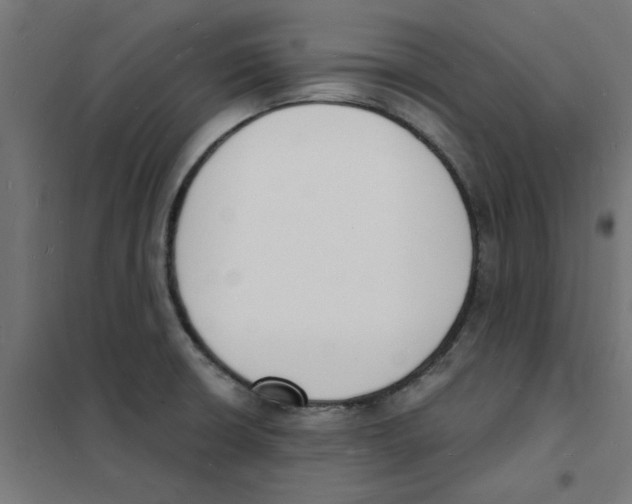 X0000101691426200808071122