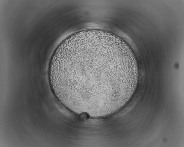 X0000101691427200808071122