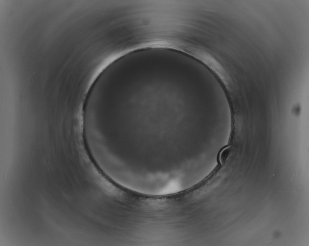 X0000101691428200808071122