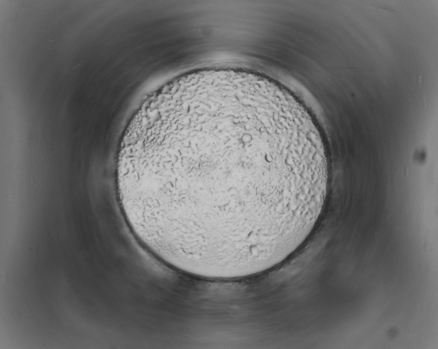 X0000101691429200808071122