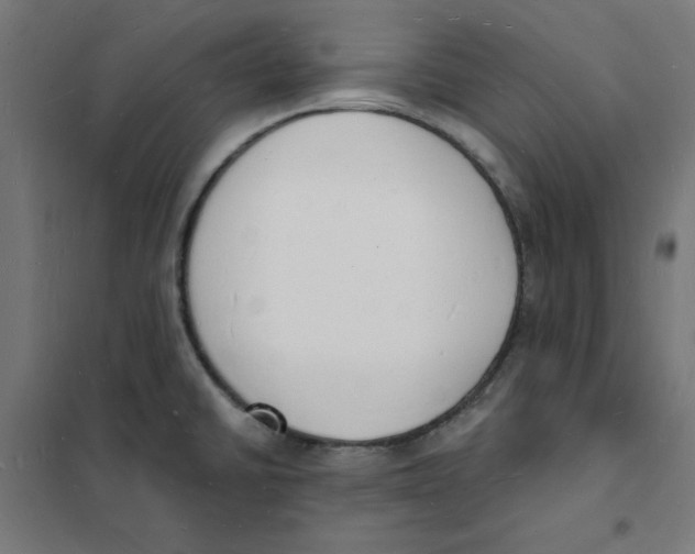 X0000101691430200808071122