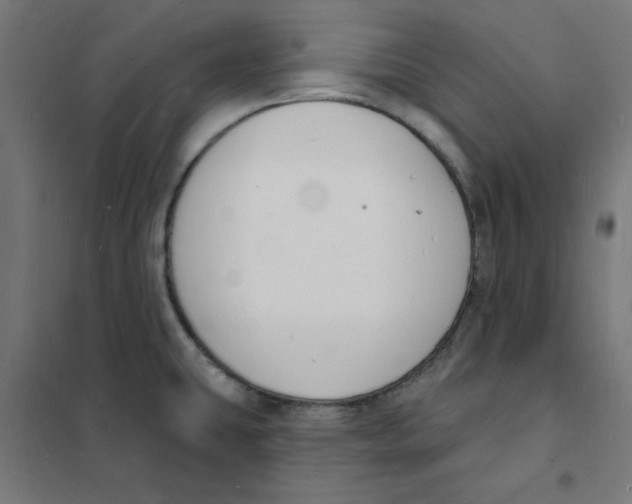 X0000101691431200808071122