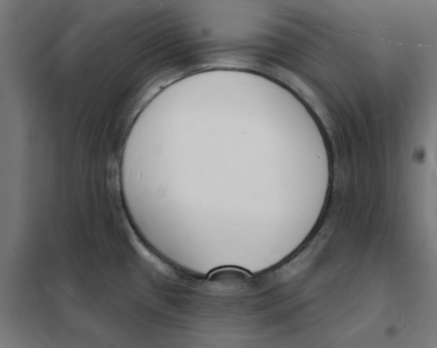 X0000101691433200808071122