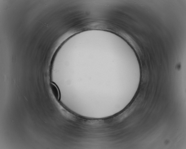 X0000101691434200808071122