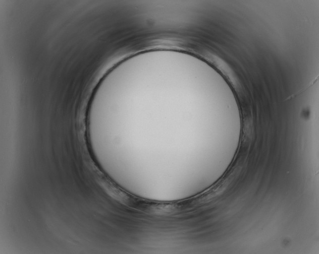 X0000101691435200808071122