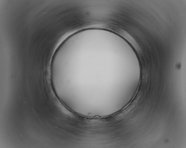 X0000101691436200808071122