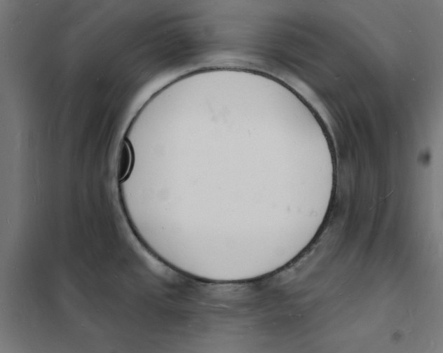 X0000101691437200808071122