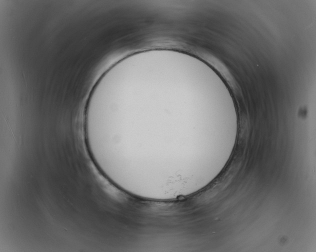 X0000101691439200808071122