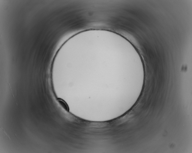 X0000101691440200808071123