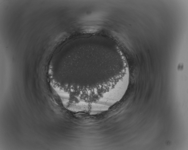 X0000101691441200808071122