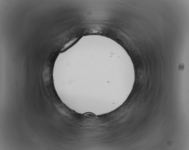 X0000101691442200808071122