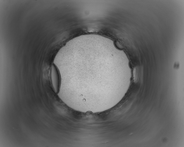 X0000101691443200808071122