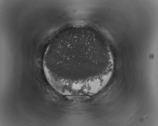 X0000101691445200808071122