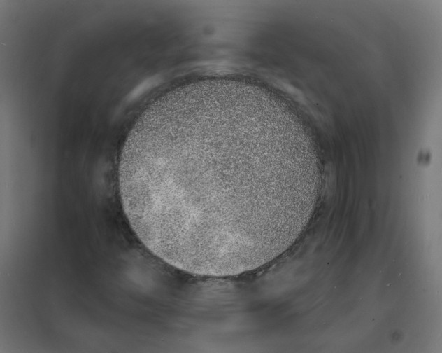 X0000101691446200808071122