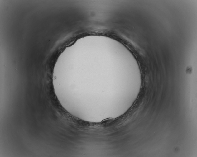 X0000101691447200808071122